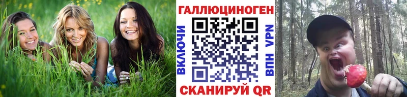 где найти   Кропоткин  Псилоцибиновые грибы Magic Shrooms 